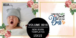 New Born Templates 15X15 - 0016